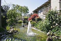 Property rental in Santa Clara CA
